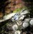 IMG_1748.jpeg