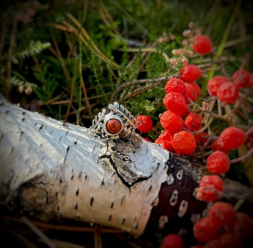 IMG_3018.jpeg