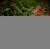 IMG_3018.jpeg