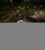 IMG_2286.jpeg