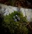 IMG_3779.jpeg