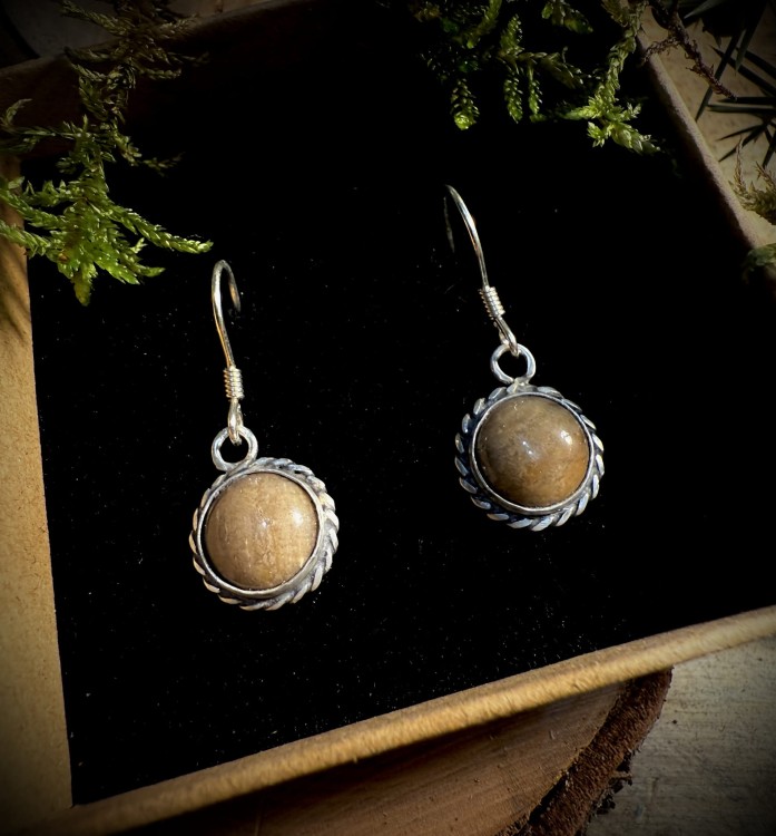 IMG_4509.jpeg