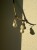 IMG_7978.jpeg