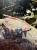 IMG_1906.jpeg