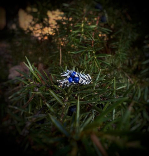 IMG_3378.jpeg